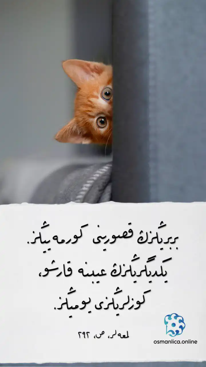 Vecize